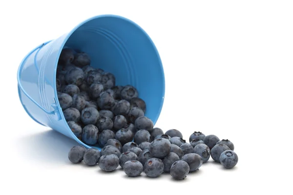 在白色背景上，存储桶中的蓝莓 — 图库照片