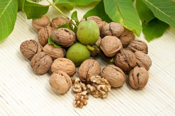 Орехи с зелеными листьями и незрелыми фруктами — стоковое фото