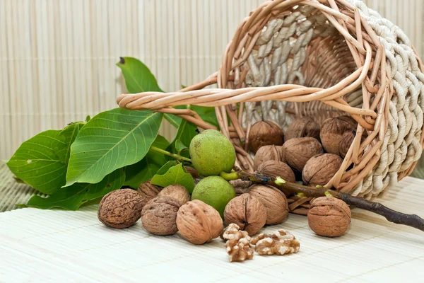Nueces con hojas verdes y fruta inmadura —  Fotos de Stock