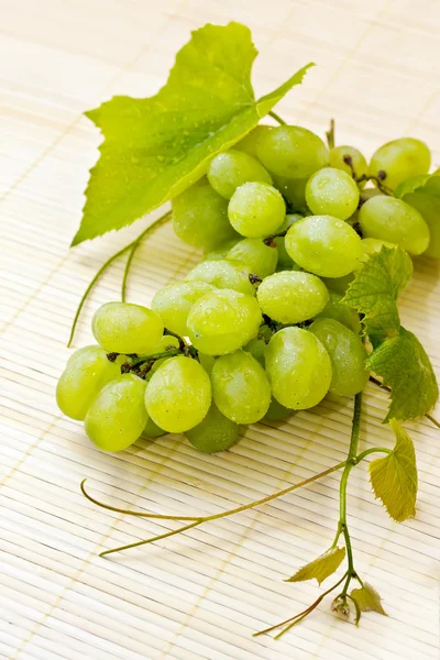Ramo de uvas blancas con gotas de rocío —  Fotos de Stock