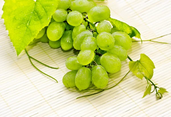 Bando de uvas brancas com gotas de orvalho — Fotografia de Stock