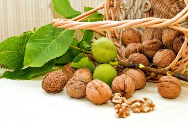 Nueces con hojas verdes y fruta inmadura —  Fotos de Stock