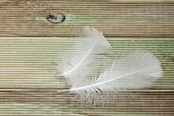 보드 배경에 흰색 깃털 — 스톡 사진