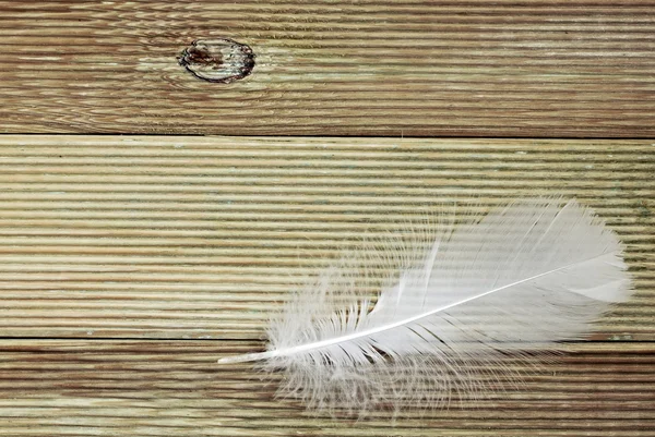 보드 배경에 흰색 깃털 — 스톡 사진