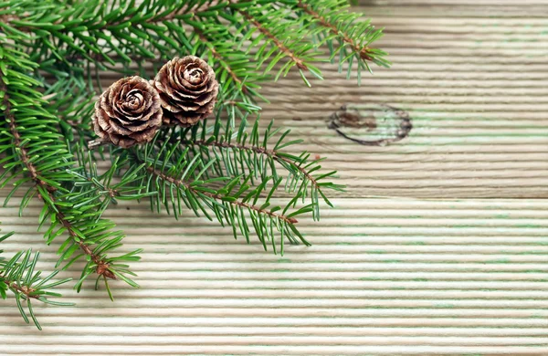 Pine branch with cones on the background of unplaned boards Stock Photo
