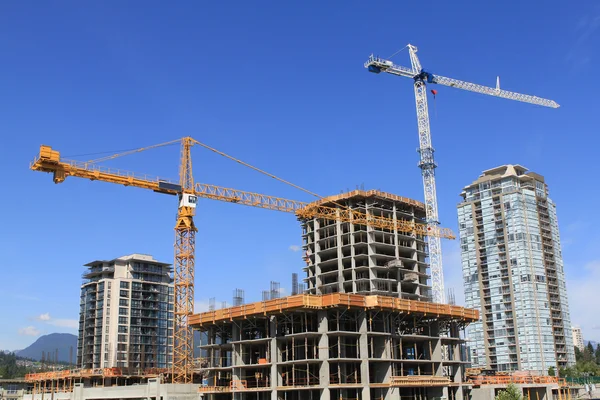 stock image Image of isolated cranes