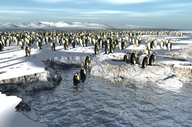 Manchots penguins colony clipart