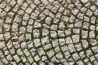 Pavement with moss texture for background