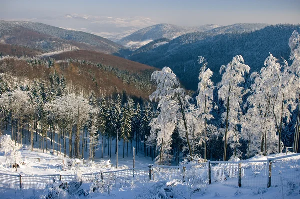 Snowy widok na dolinę — Zdjęcie stockowe