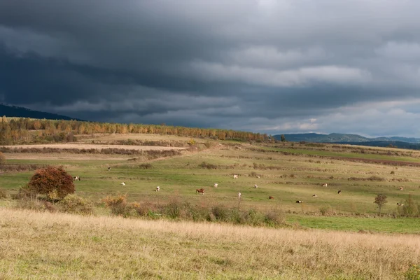牧草地の上の雨の雲 — ストック写真
