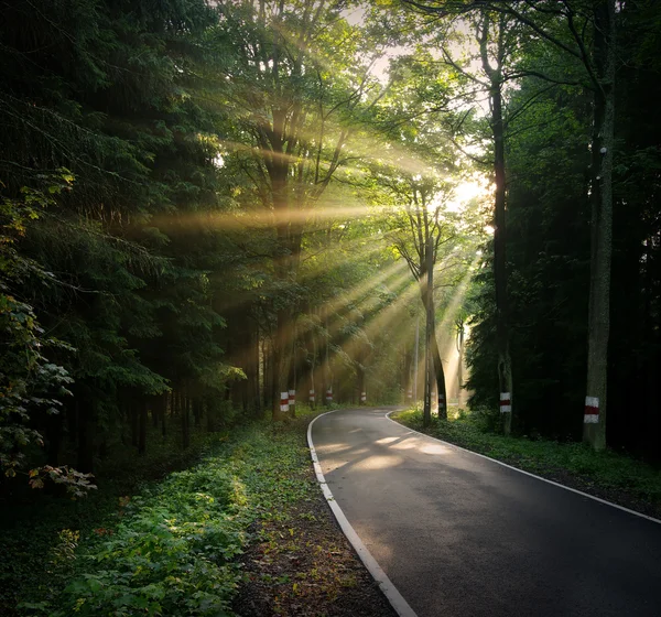 道路の上の太陽光線 — ストック写真