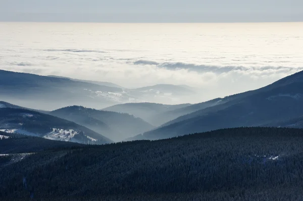 云海和海岸的雾山 — 图库照片