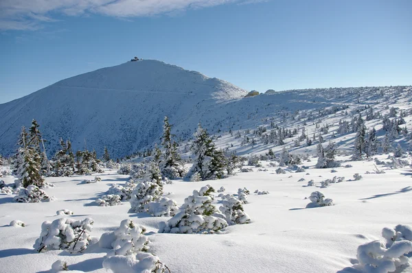 Снєжка гори взимку — стокове фото