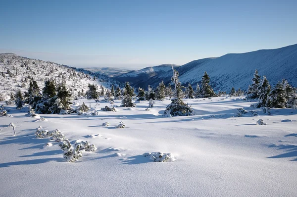 Karkonosze kış aylarında vadide — Stok fotoğraf