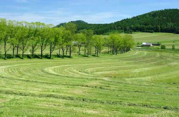 Vista rural sobre el campo fresco — Foto de Stock
