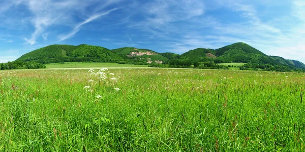 Prairie verte et collines à l'horizon — Photo