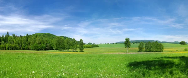 Prado verde e céu azul durante a primavera — Fotografia de Stock