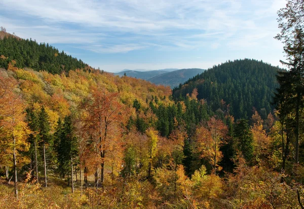 山中的多彩秋景 — 图库照片