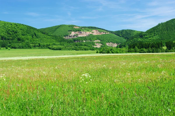 Taş ocağı ile tepelerde yaz görünümü — Stok fotoğraf