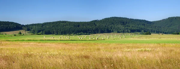 丘の農業のパノラマ — ストック写真
