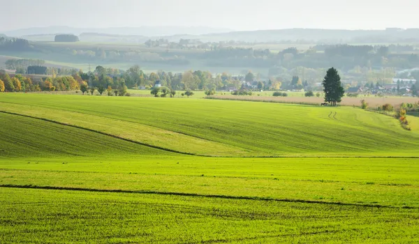 Rolnych widok na pola — Zdjęcie stockowe