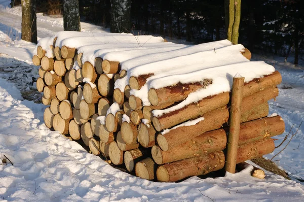 Pile of wood during the winter — Stock Photo, Image