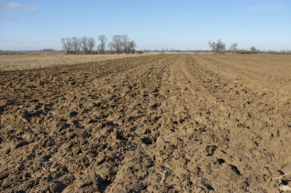 stock image Agricultural view on plowed field