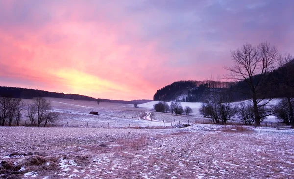 Sunrise view on frozen meadows — Stock Photo, Image