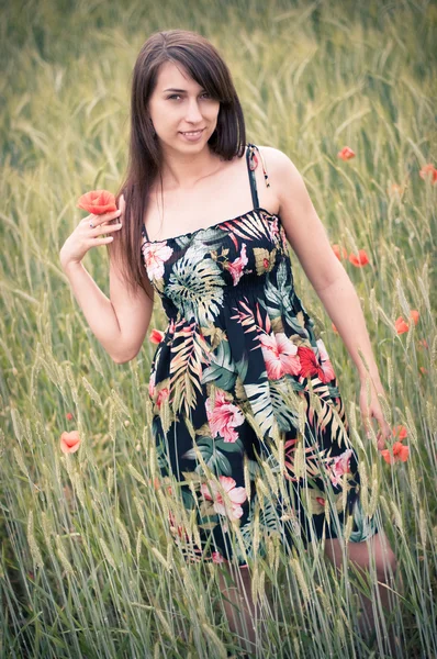 Beautiful young girl on the field with poppy flowers — Stock Photo, Image