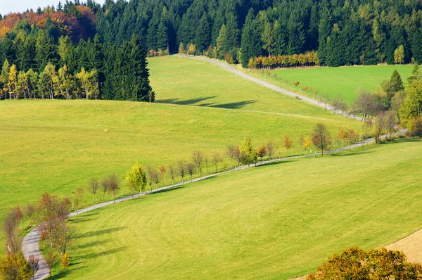 Winding road in the hills — Stock Photo, Image