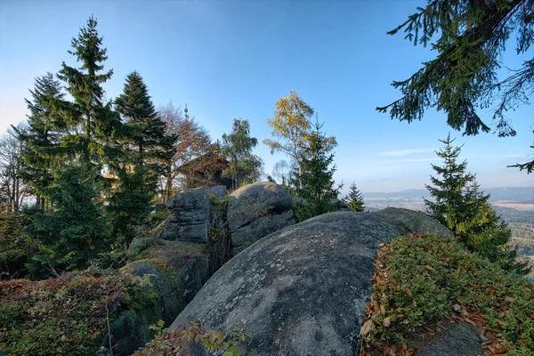 Ilk plan üzerinde büyük kaya ile ormanda sahne — Stok fotoğraf