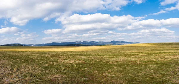 Ранняя весенняя панорама с пастбищем и холмами — стоковое фото