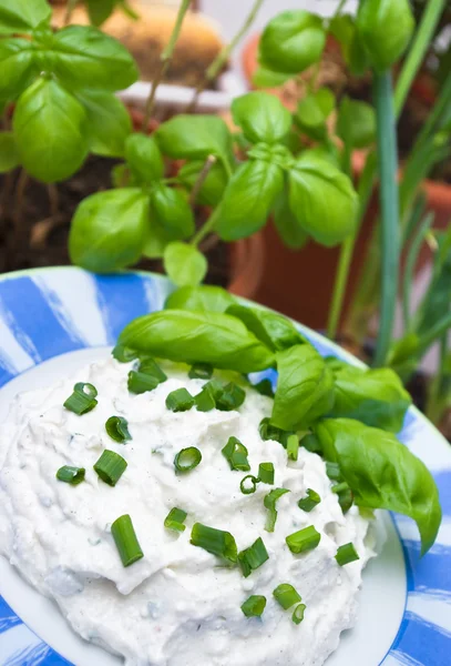 White cheese with fresh chives and basil — Stock Photo, Image