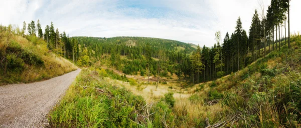 Панорама леса на холмах — стоковое фото