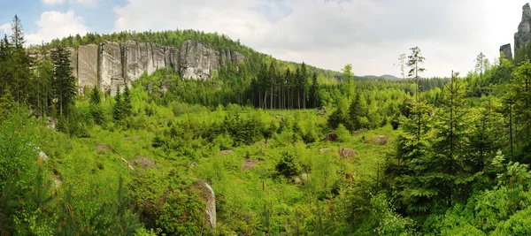 大きな岩のグループと新鮮な森のパノラマ — ストック写真