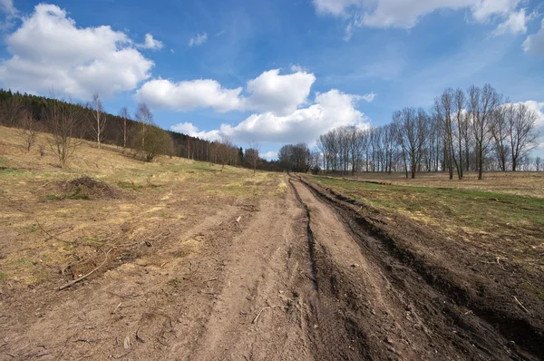 Muddy road during the spring — Stock Photo, Image