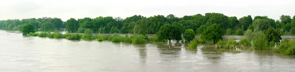 stock image Flood on the Odra river