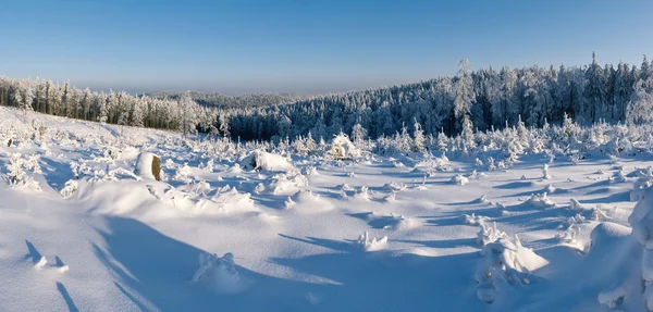 Winterpanorama mit Wald in Hügeln — Stockfoto