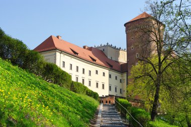 yama wawel Castle Krakow, Polonya