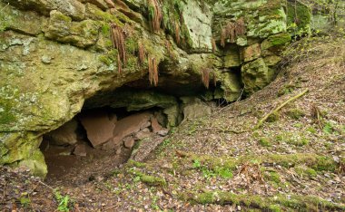 Cave entrance in the middle of forest clipart