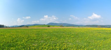 Panorama of fresh green meadows clipart