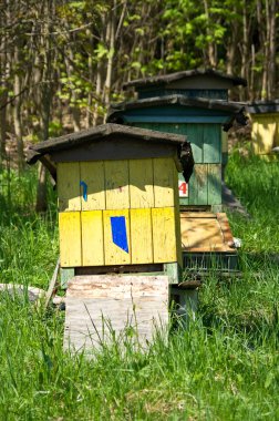 Row of beehives clipart