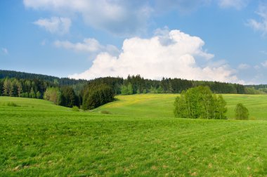 Spring landscape near the forest clipart