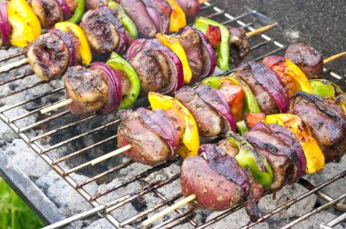 kümes hayvanları kalpleri ile renkli kebab