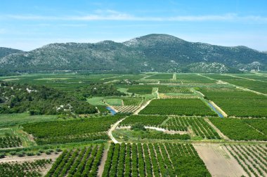 neretva Nehri Deltası Hırvatistan'ın tarım alanı
