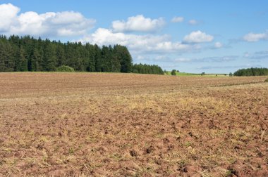 Plowed field near forest clipart