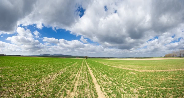Rural view with dramatic sky — Stock Photo, Image