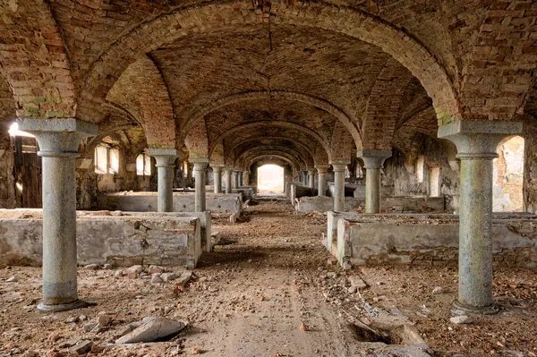 Antiguo establo abandonado en ruinas con hermoso techo —  Fotos de Stock