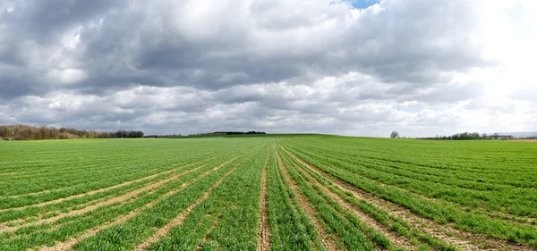 Zemědělské panorama s dramatickou oblohu — Stock fotografie