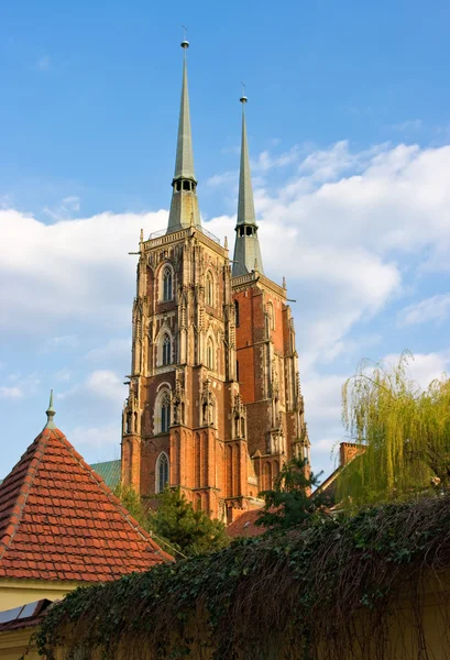 Katedralen i wroclaw på tum island, Polen — Stockfoto
